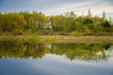 Bahar yemekleri. Bataklıklı güzel bir bahar manzarası, Sunr.