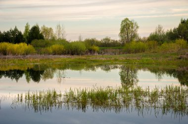 Bahar yemekleri. Bataklıklı güzel bir bahar manzarası, Sunr.