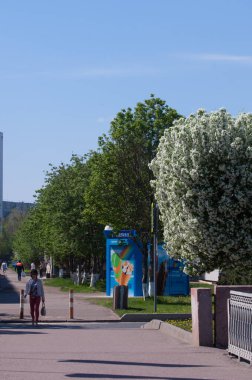 Bahar manzarası, elma. Bahar çiçekleri. Çiçek açan bir elma