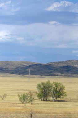 Bozkır ağaçsız, nemli ve genellikle düz.