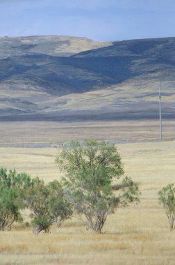 Bozkır ağaçsız, nemli ve genellikle düz.