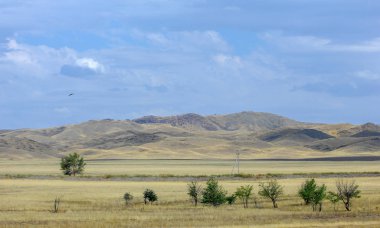 Bozkır yaz. Turgai Kaydet. Çölde Gölü