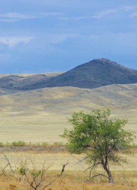 Bozkır yaz. Turgai Kaydet. Çölde Gölü