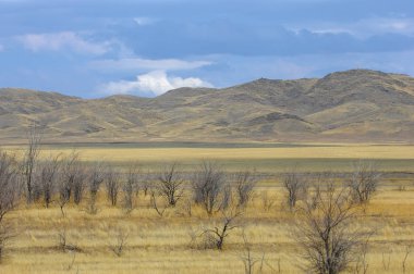 Sonbahar manzarası, dağlı bozkırlar. Çayır, veld, veldt. a