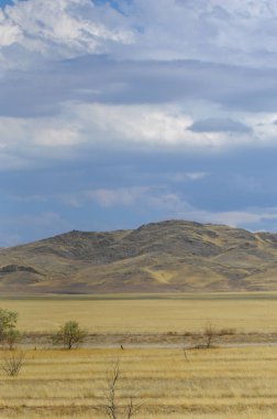 Sonbahar manzarası, dağlı bozkırlar. Çayır, veld, veldt. a