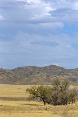 Sonbahar manzarası, dağlı bozkırlar. Çayır, veld, veldt. a