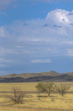 Sonbahar manzarası, dağlı bozkırlar. Çayır, veld, veldt. a