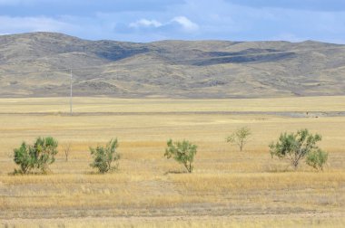 Sonbahar manzarası, dağlı bozkırlar. Çayır, veld, veldt. a