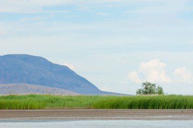 Bozkır yaz. Turgai Kaydet. Çölde Gölü