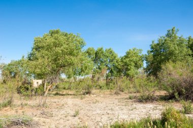 Bozkır, bozkır, bozkır, bozkır