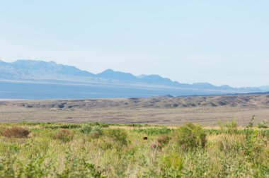 Bozkır yaz. Turgai Kaydet. Çölde Gölü