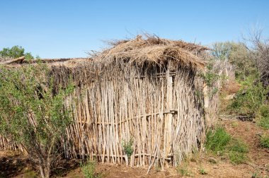 Çöl, vahşi doğa, kumlar, yabani hayvanlar, atıklar, sahara