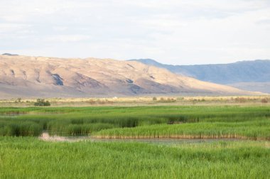 Bozkır yaz. Turgai Kaydet. Çölde Gölü