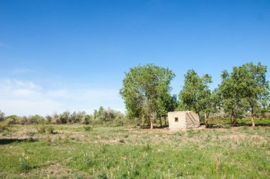 Bozkır, bozkır, bozkır, bozkır