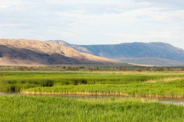 Bozkır yaz. Turgai Kaydet. Çölde Gölü