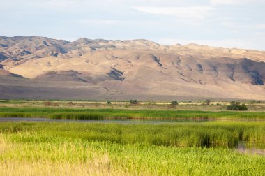 Bozkır yaz. Turgai Kaydet. Çölde Gölü