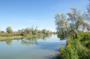 Bozkır nehir sazlık yaz