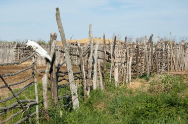 Çöl, vahşi doğa, kumlar, yabani hayvanlar, atıklar, sahara