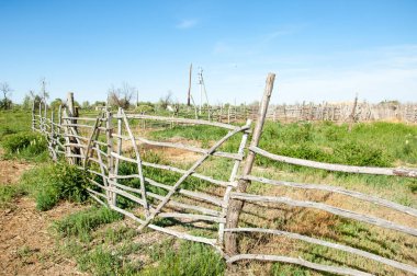 Çöl, vahşi doğa, kumlar, yabani hayvanlar, atıklar, sahara