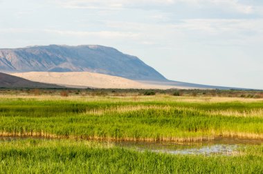Bozkır yaz. Turgai Kaydet. Çölde Gölü