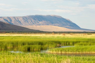 Bozkır yaz. Turgai Kaydet. Çölde Gölü