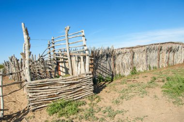 Çöl, vahşi doğa, kumlar, yabani hayvanlar, atıklar, sahara