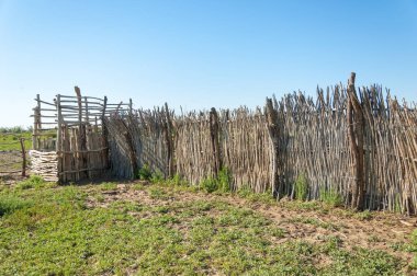 Çöl, vahşi doğa, kumlar, yabani hayvanlar, atıklar, sahara