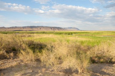 Bozkır yaz. Turgai Kaydet. Çölde Gölü
