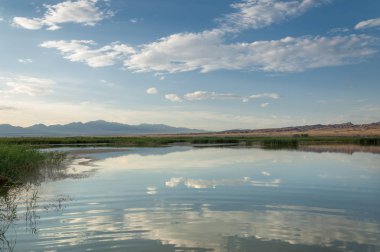 Bozkır yaz. Turgai Kaydet. Çölde Gölü