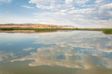Bozkır yaz. Turgai Kaydet. Çölde Gölü