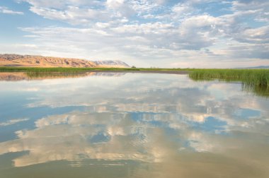 Bozkır yaz. Turgai Kaydet. Çölde Gölü