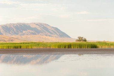 Bozkır yaz. Turgai Kaydet. Çölde Gölü