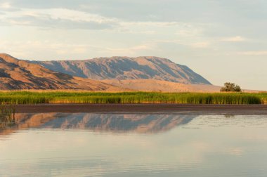 Bozkır yaz. Turgai Kaydet. Çölde Gölü