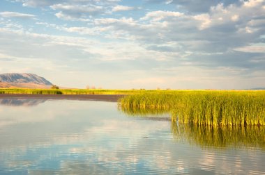 Bozkır yaz. Turgai Kaydet. Çölde Gölü