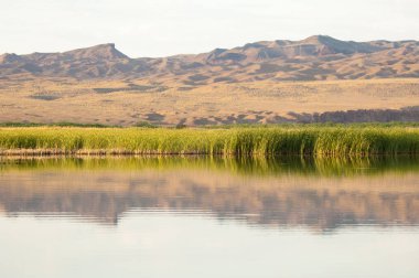Bozkır yaz. Turgai Kaydet. Çölde Gölü