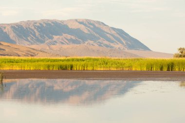 Bozkır yaz. Turgai Kaydet. Çölde Gölü