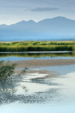 Bozkır yaz. Turgai Kaydet. Çölde Gölü