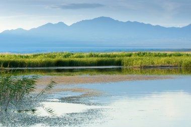 Bozkır yaz. Turgai Kaydet. Çölde Gölü