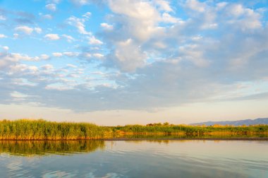Bozkır yaz. Turgai Kaydet. Çölde Gölü