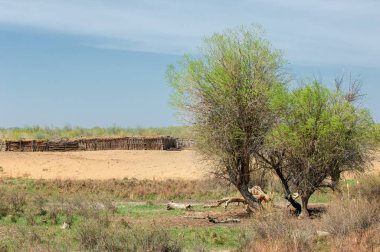 Bozkır, bozkır, bozkır, bozkır
