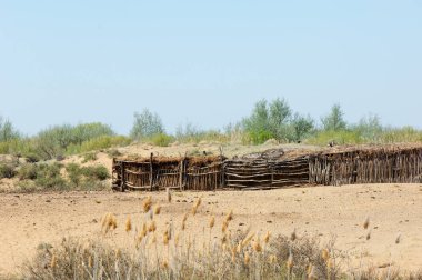 Çöl, vahşi doğa, kumlar, yabani hayvanlar, atıklar, sahara