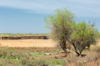 Bozkır, bozkır, bozkır, bozkır