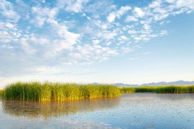 Bozkır yaz. Turgai Kaydet. Çölde Gölü