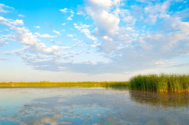Bozkır yaz. Turgai Kaydet. Çölde Gölü