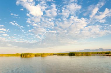 Bozkır yaz. Turgai Kaydet. Çölde Gölü