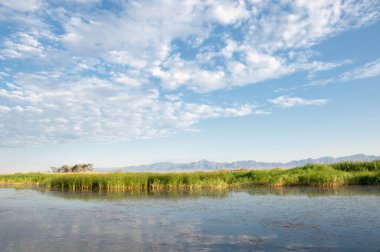 Bozkır yaz. Turgai Kaydet. Çölde Gölü