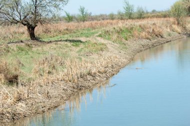 Bozkır nehir sazlık yaz