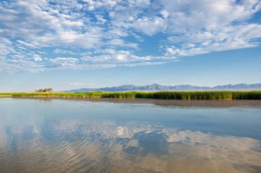 Bozkır yaz. Turgai Kaydet. Çölde Gölü