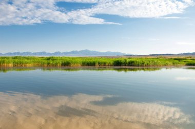 Bozkır yaz. Turgai Kaydet. Çölde Gölü