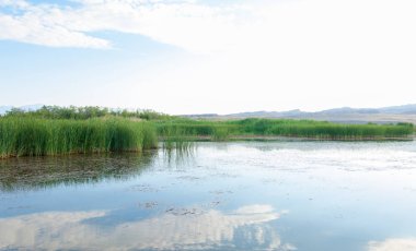 Bozkır yaz. Turgai Kaydet. Çölde Gölü